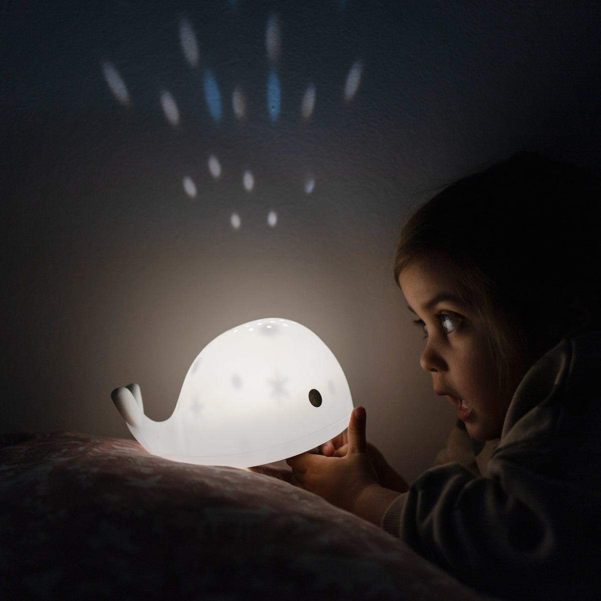 Flow Projector Moby