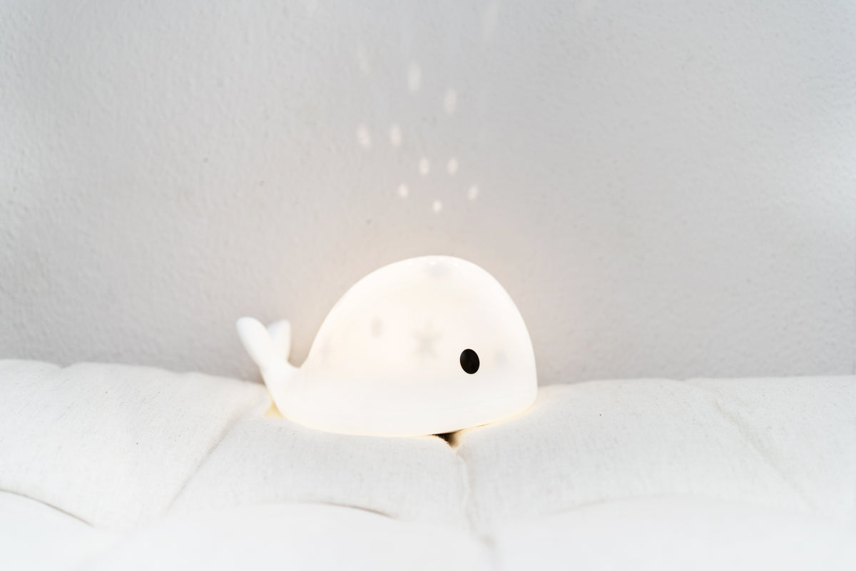 Flow Projector Moby