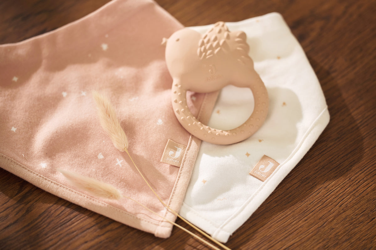 Jollein Bib Bandana Twinkling Wild Rose (2pack)