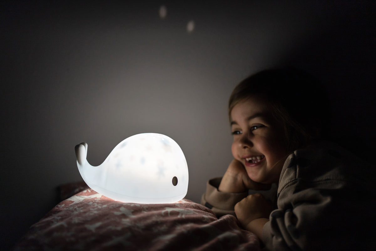 Flow Projector Moby