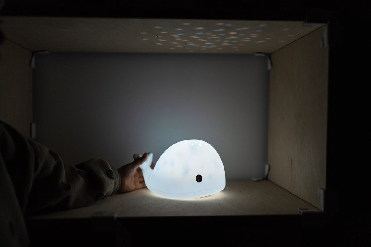 Flow Projector Moby