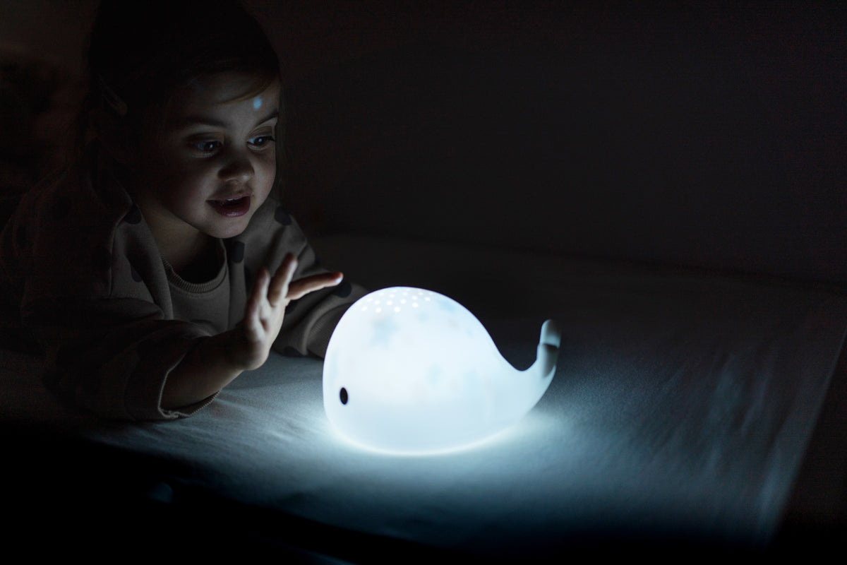 Flow Projector Moby