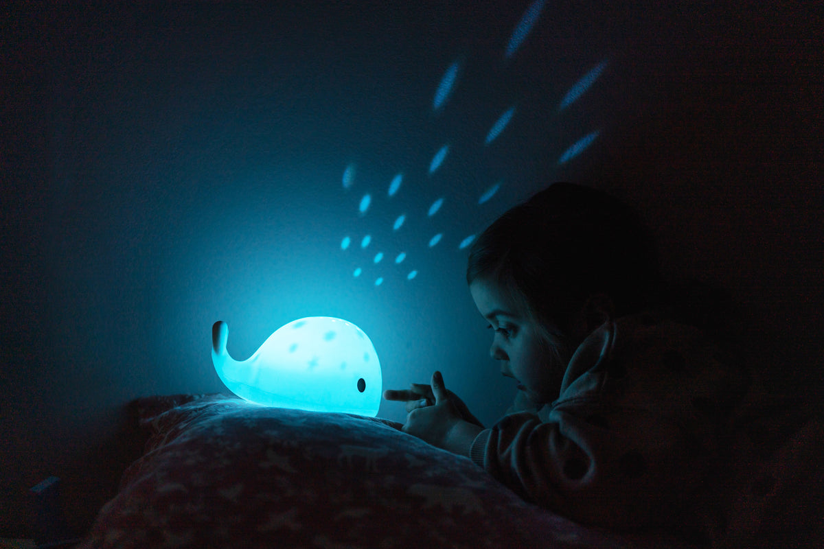 Flow Projector Moby