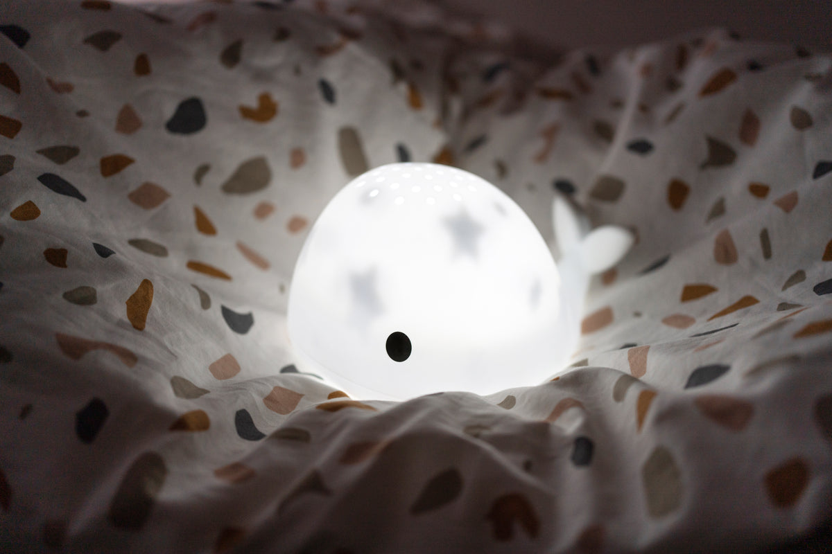 Flow Projector Moby