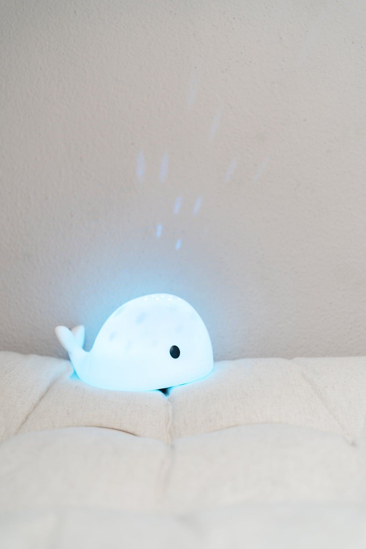Flow Projector Moby