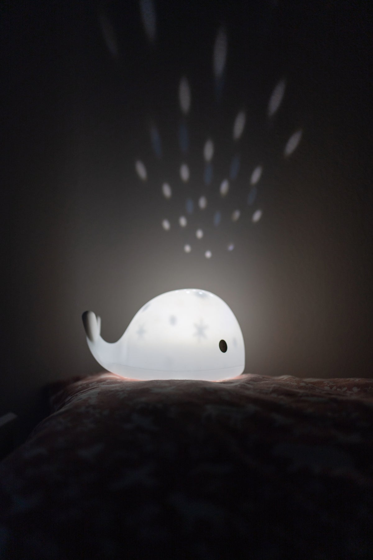Flow Projector Moby