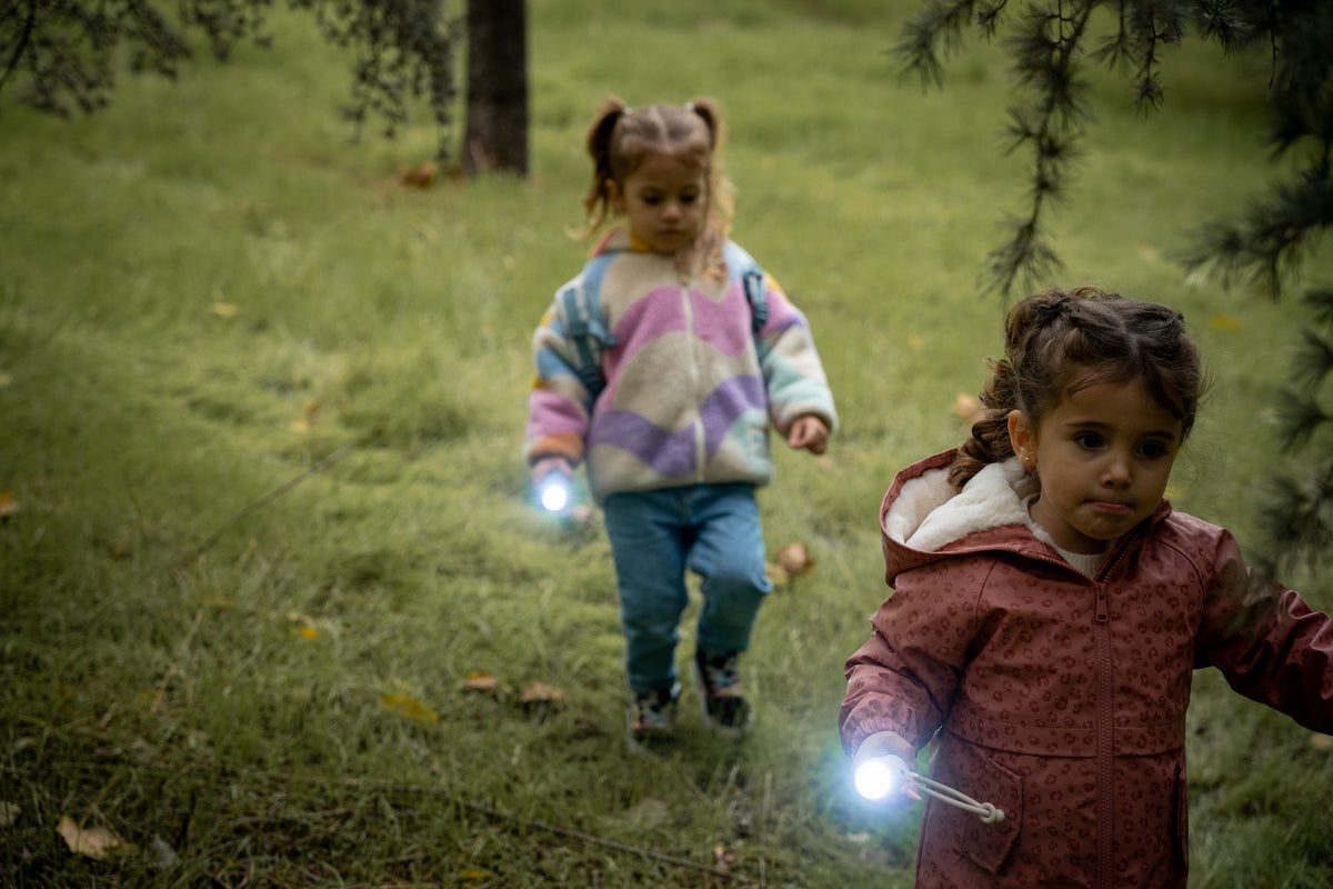 Saro Små äventyrare Barnficklampa Lejon